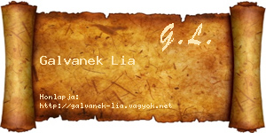 Galvanek Lia névjegykártya